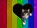 cat-cats-colorful-colors-fence-heart-Favim.com-56622